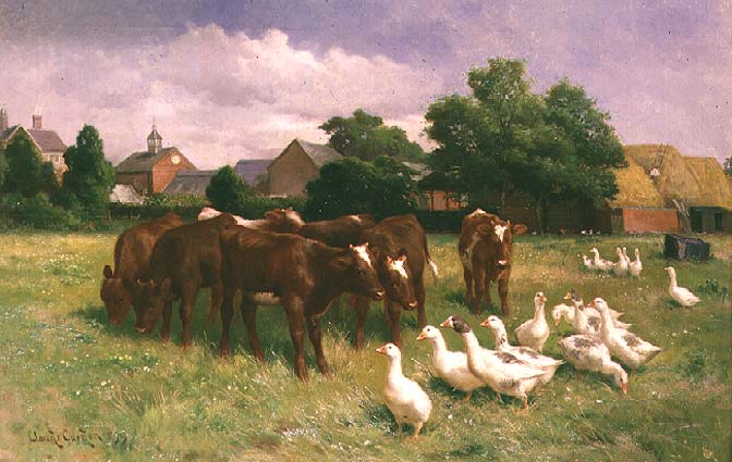 ducks and cows group game
